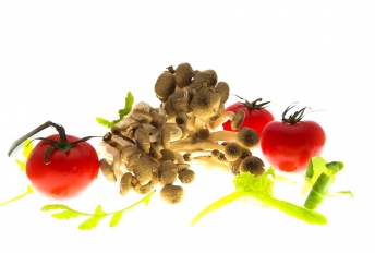 food 09