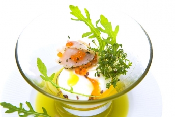 food 11
